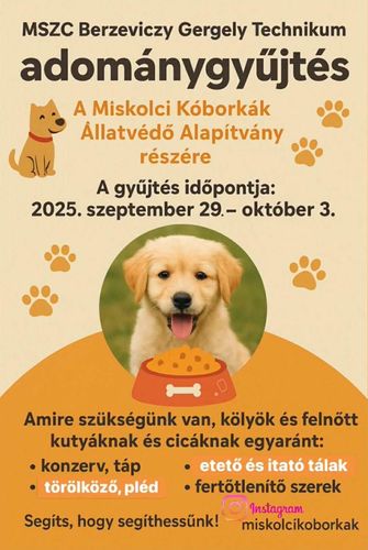 Adománygyűjtés a Miskolci Kóborkák Állatvédő alapítvány részére