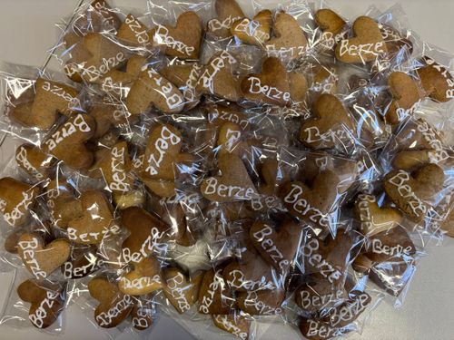 "Szabad a pálya!" pályaválasztási kiállítás